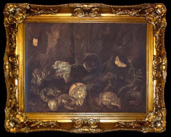 framed  SCHRIECK, Otto Marseus van Still Life with Insects and Amphibians (mk14), ta009-2